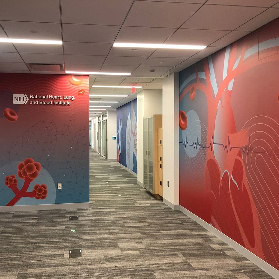 NIH Healthcare Wall Coverings provided by Albert Basse Associates located in Stoughton, MA